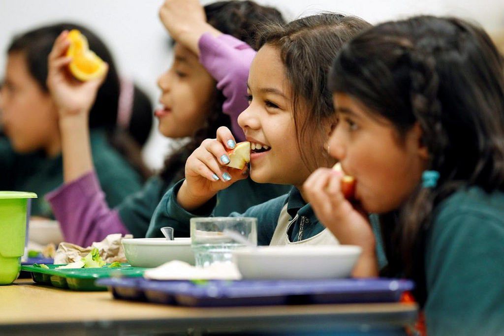 School Meals
